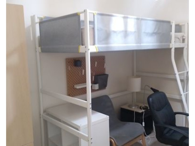 3 Mahogany Place, Molendinar QLD 4214