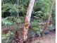 Block 11 40 Clifton Road, Clifton Beach QLD 4879
