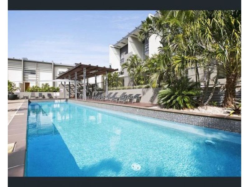 21 Love Street, Bulimba QLD 4171