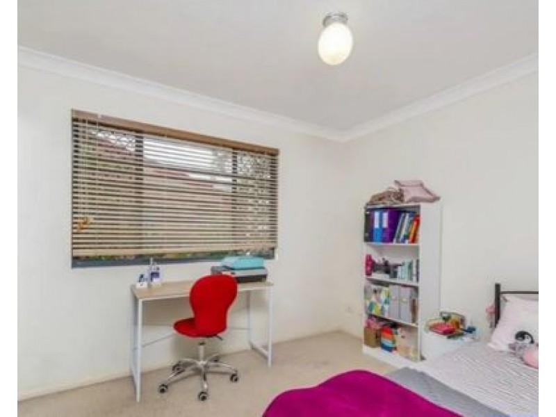 3/34 Warren Street, St Lucia QLD 4067