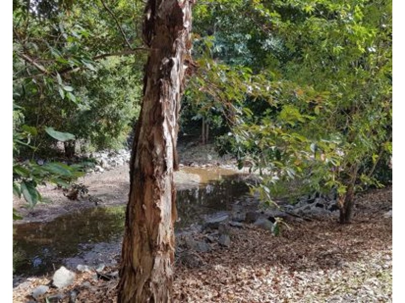 1802 40 Clifton Road, Clifton Beach QLD 4879