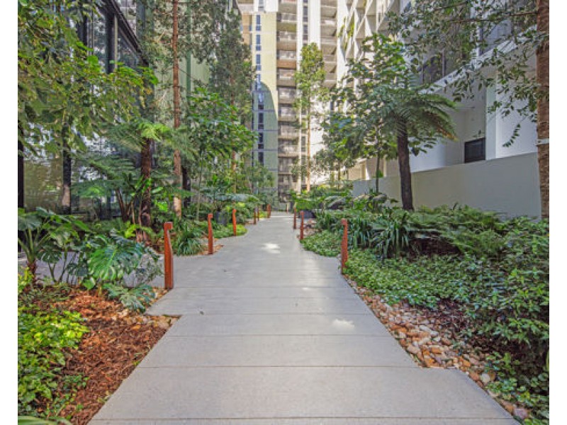 81602 /23 Mollison St, West End QLD 4101