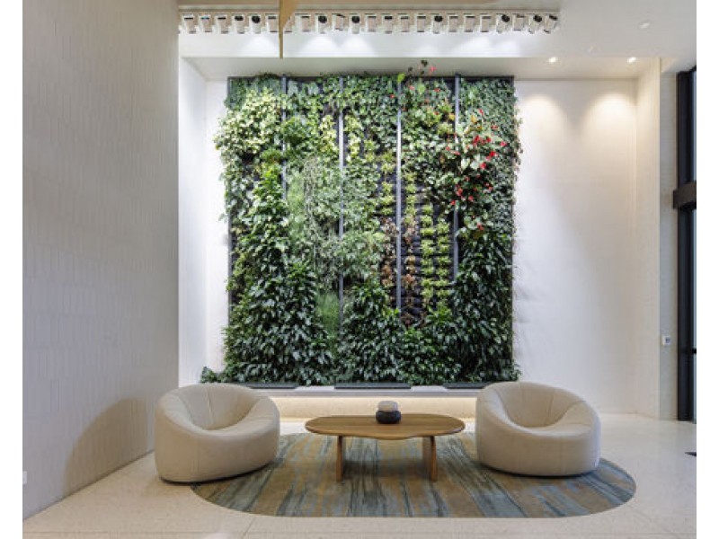 81602 /23 Mollison St, West End QLD 4101