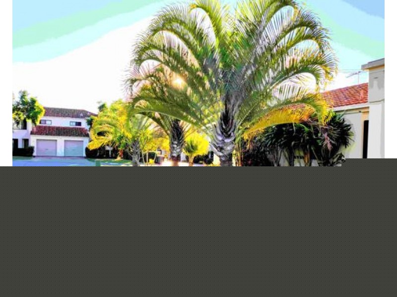 Unit 25/ 10 Diane Court, Calamvale QLD 4116