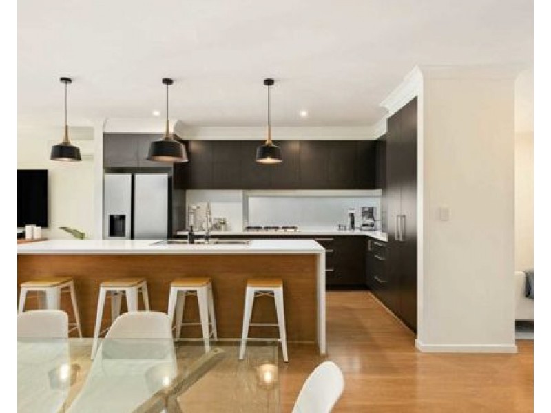 14 Ernest St, Camp Hill QLD 4152