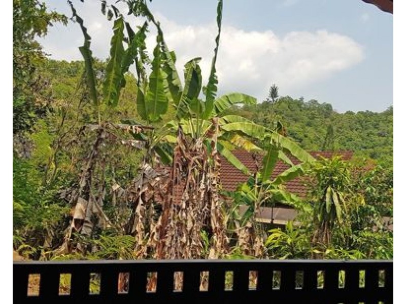 174 Hillview Crescent, Whitfield QLD 4870