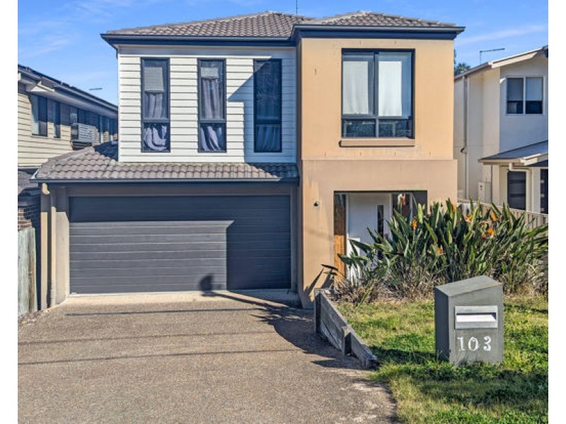 103 Nyleta Street, Coopers Plains QLD 4108