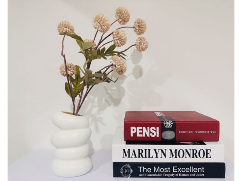 19 Pyrite Street, Pimpama QLD 4209