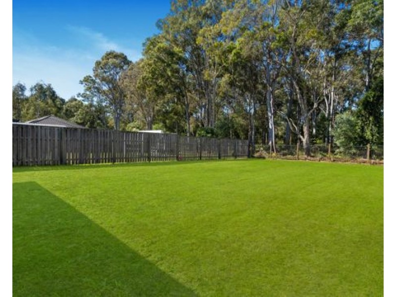 15 Coen Street, Thornlands QLD 4164