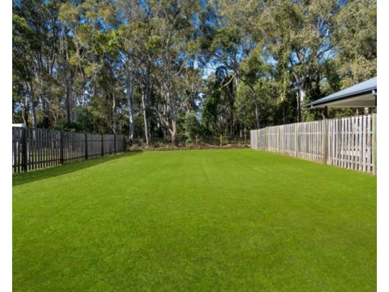 15 Coen Street, Thornlands QLD 4164