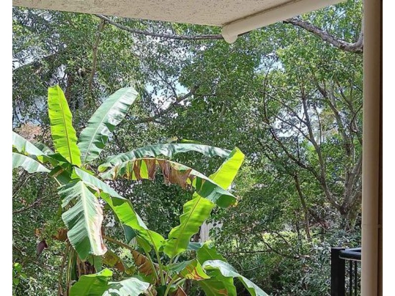 234 2-8 Rigg St, Woree QLD 4868