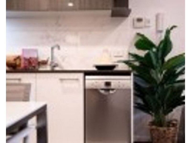 ID:21420333 172 Venner Rd, Yeronga QLD 4104