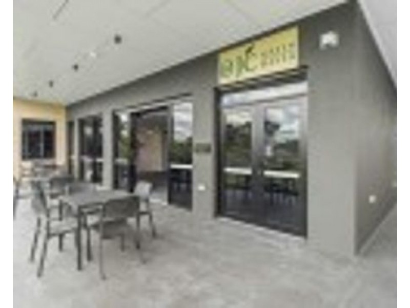 ID:21420333 172 Venner Rd, Yeronga QLD 4104