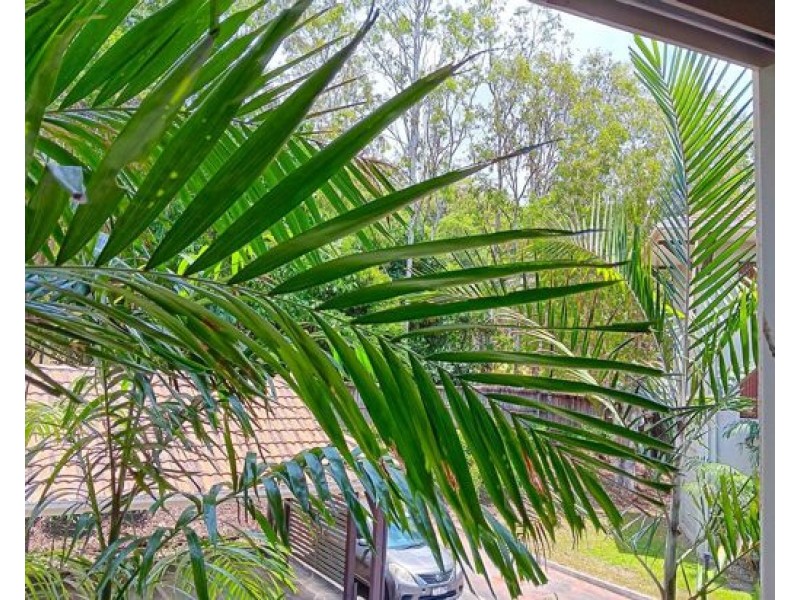 503 40 Clifton Road, Clifton Beach QLD 4879