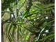 503 40 Clifton Road, Clifton Beach QLD 4879