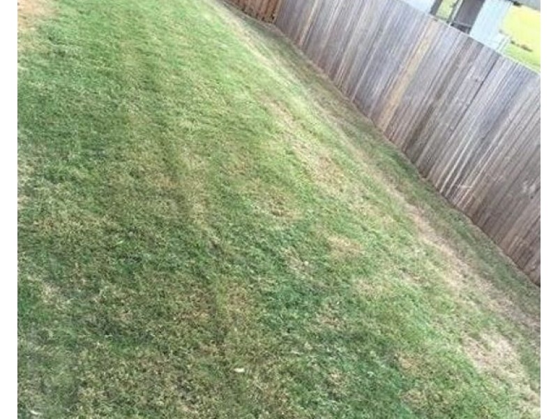 39/31 Matthew St, Carseldine QLD 4034