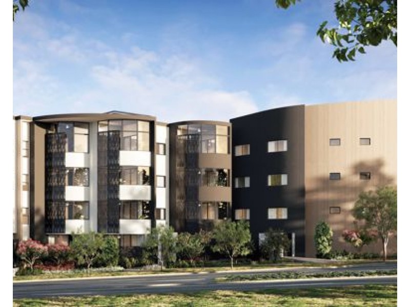 ID:21443766 172 Venner Rd, Yeronga QLD 4104