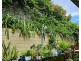 6 Mapleton Drive, North Lakes QLD 4509