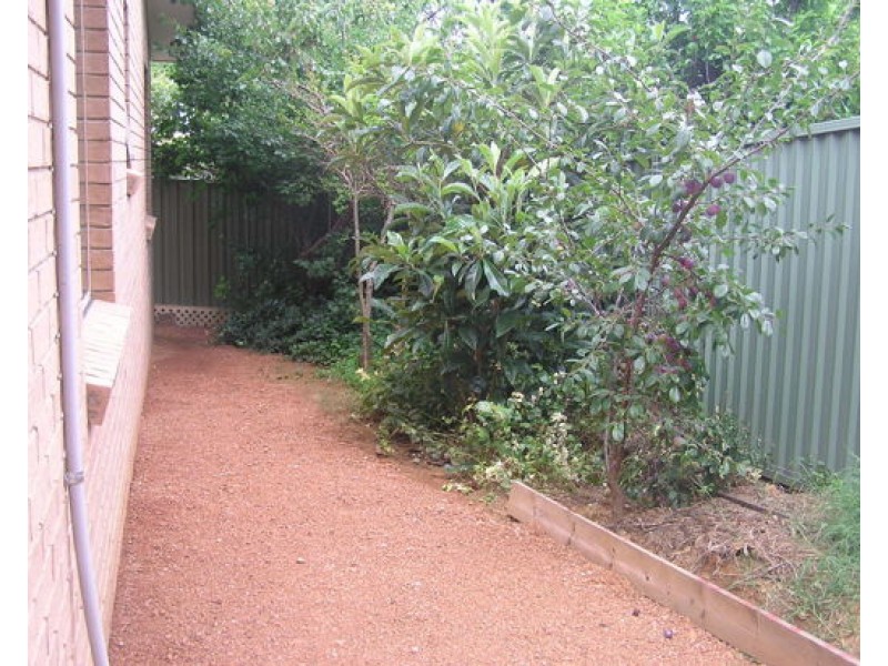 52A Lyttleton Cr, Cook ACT 2614