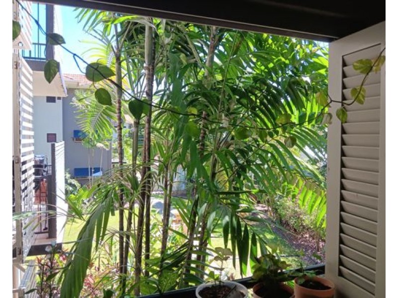 2004 40 Clifton Road, Clifton Beach QLD 4879