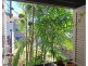 2004 40 Clifton Road, Clifton Beach QLD 4879