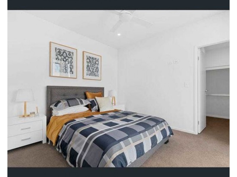 ID:21477586 172 Venner Road, Yeronga QLD 4104