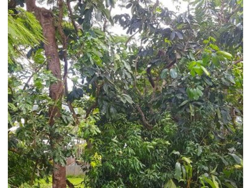 Building D 2-8 Rigg Street, Woree QLD 4868