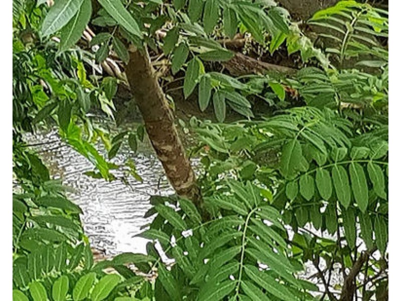 Building D 2-8 Rigg Street, Woree QLD 4868