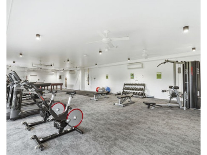 ID:21481617 172 Venner Road, Yeronga QLD 4104