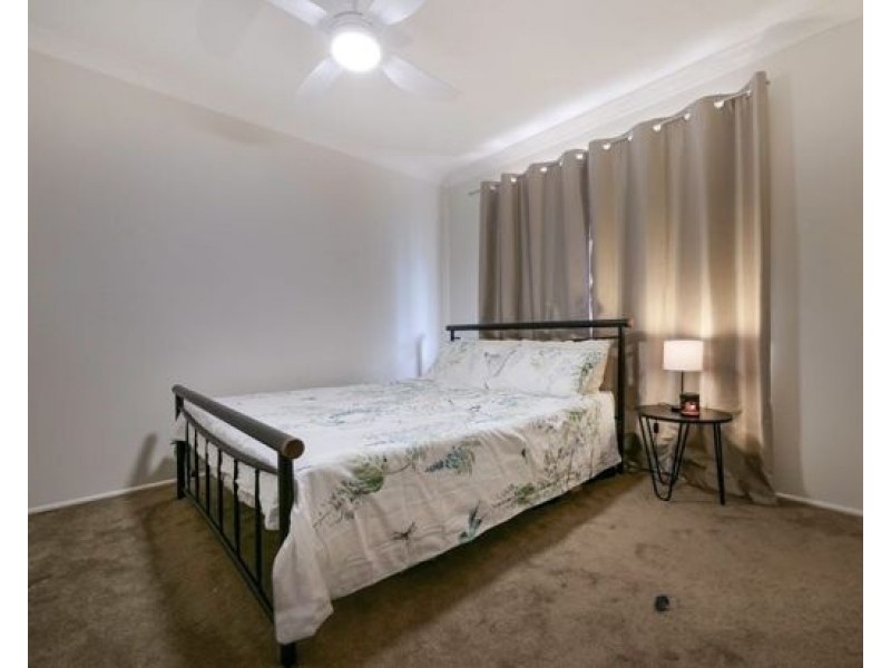 21 petringa crescent, Springwood QLD 4127