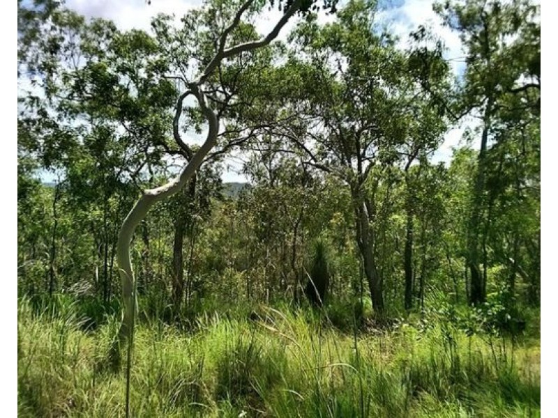 Lot 103 Two Chain Rd Koah, Koah QLD 4881