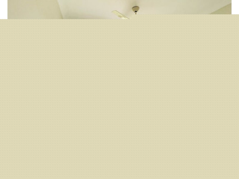 84 NARDOO STREET, Robina QLD 4226