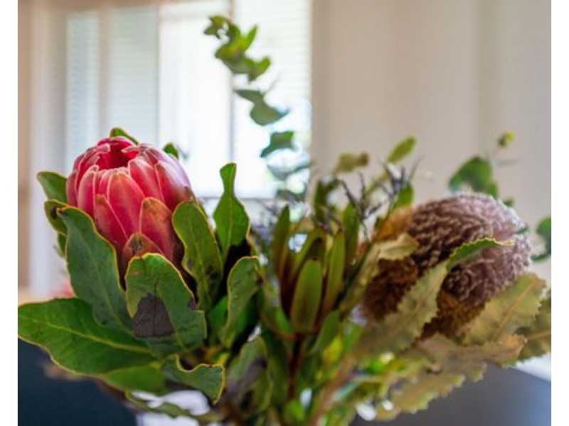 23/14-18 DUNMORE TERRACE, Auchenflower QLD 4066