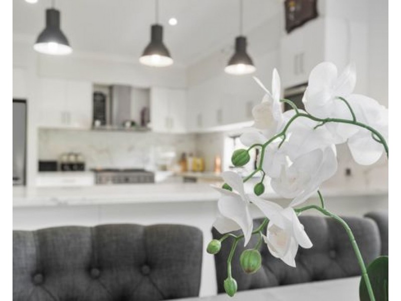 120 Falkland Street, Pallara QLD 4110