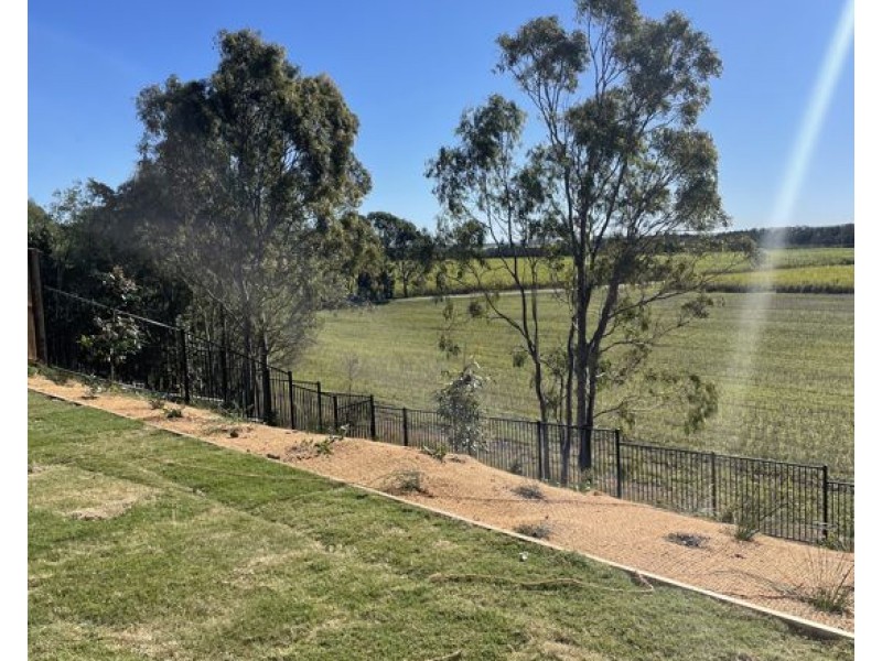 25 Genovese Avenue, Ormeau QLD 4208