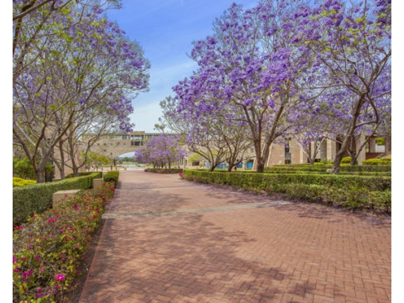 1409 / 3 Main Street, Varsity Lakes QLD 4227