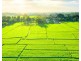 Lot 39 Stockwell Road, Oakville NSW 2765