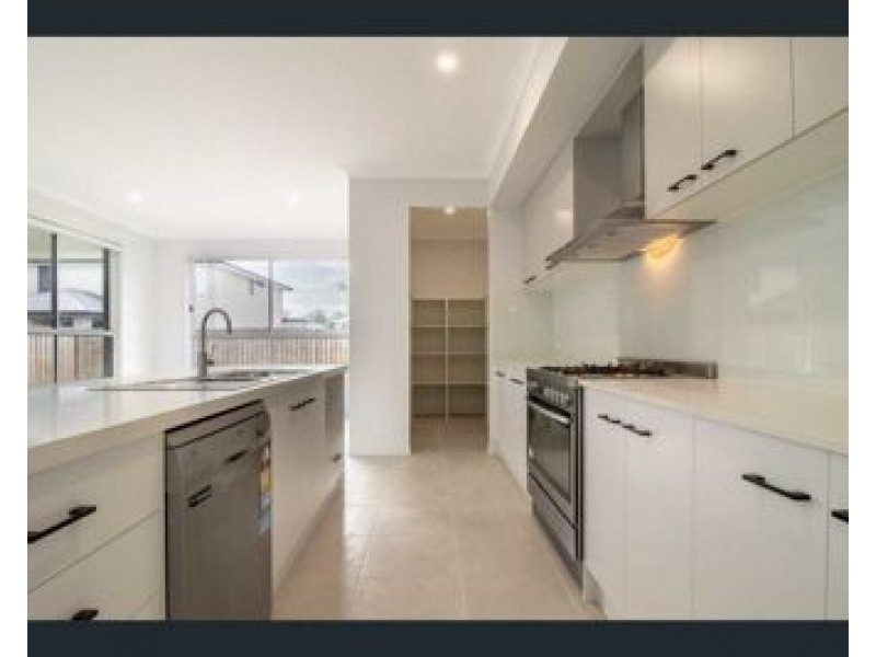 7 Amazon Circuit, Helensvale QLD 4212