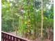 0 Hillview Crescent, Whitfield QLD 4870