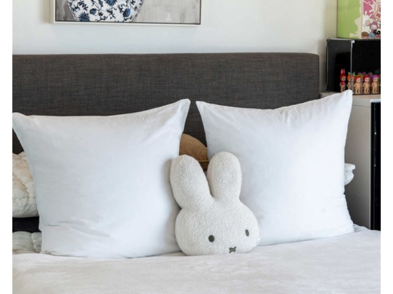 1107/50 hudson rd, Albion QLD 4010