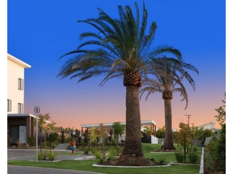 40 /55 Francis Ave, Rochedale QLD 4123