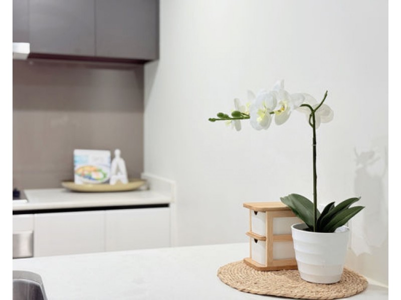 105/7 Manning Street, South Brisbane QLD 4101