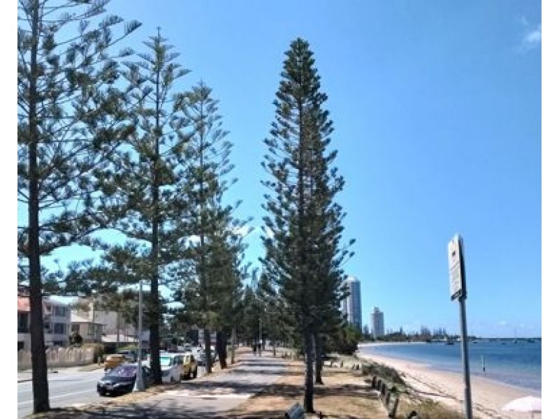 7/44 Brighton Street, Biggera Waters QLD 4216