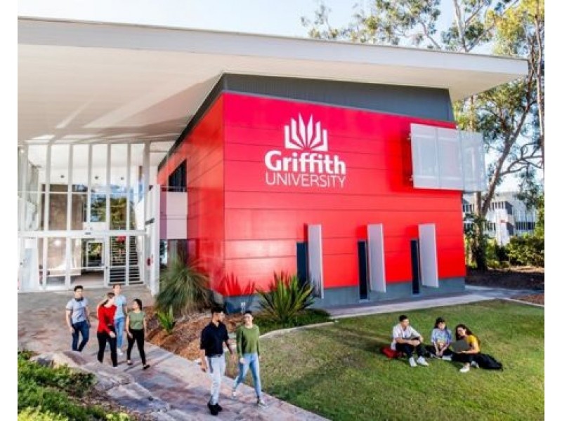 99 Address available on request, Southport QLD 4215