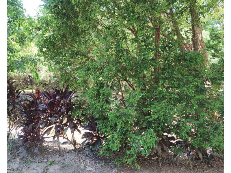 Unit 1401 40 Clifton Road, Clifton Beach QLD 4879