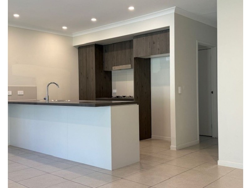 49 Rivina Circuit, Coomera QLD 4209