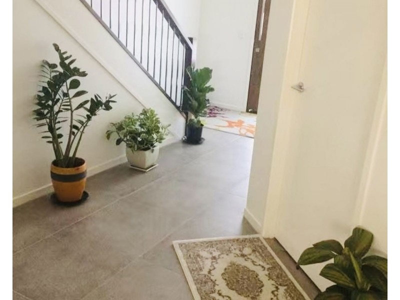 13 Mount Roberts Street, Park Ridge QLD 4125