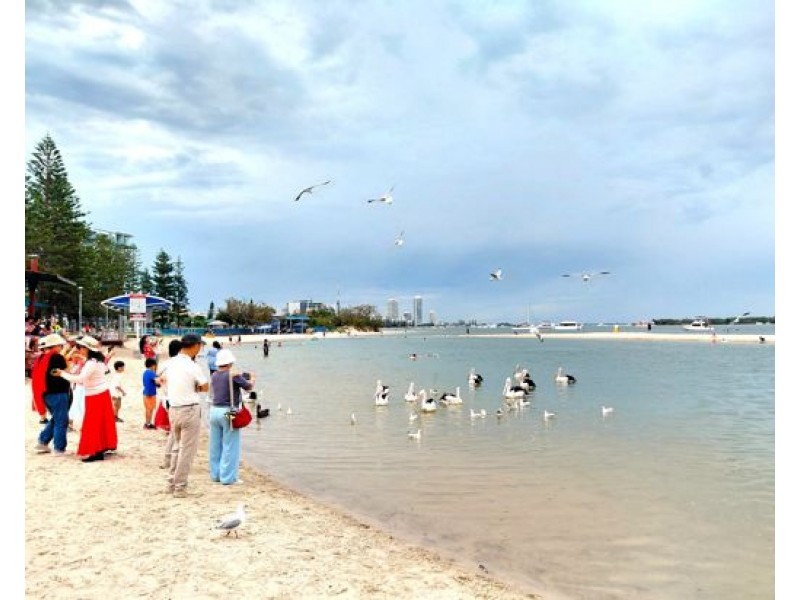 3/144 Frank St, Labrador QLD 4215