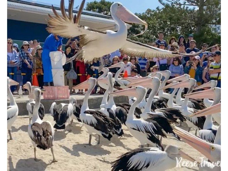 3/144 Frank St, Labrador QLD 4215