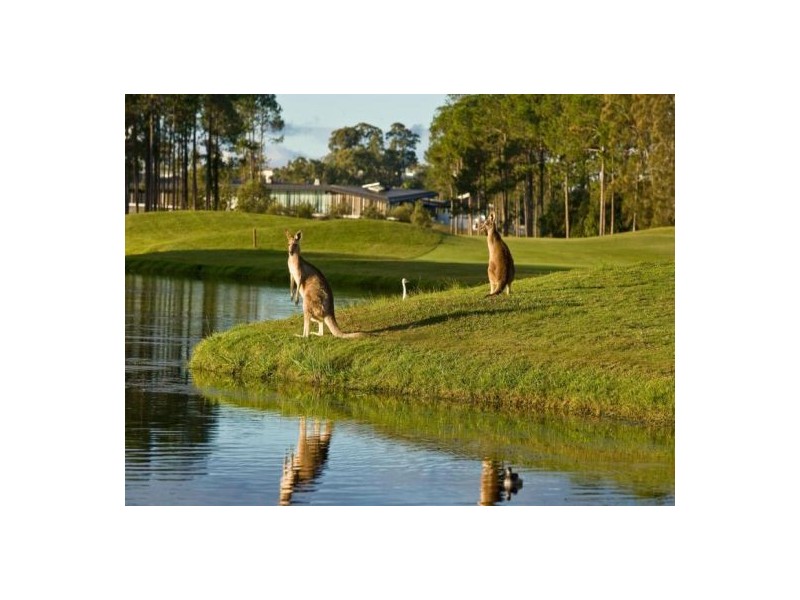 2506 The Estate, Sanctuary Cove QLD 4212